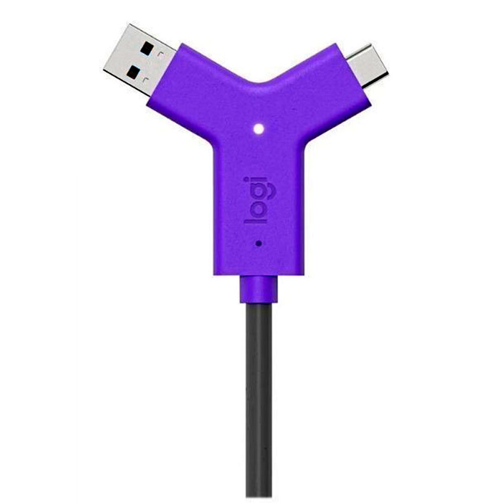 [952-000009] Logitech Switch USB Tipo A y Tipo C para Conferencias