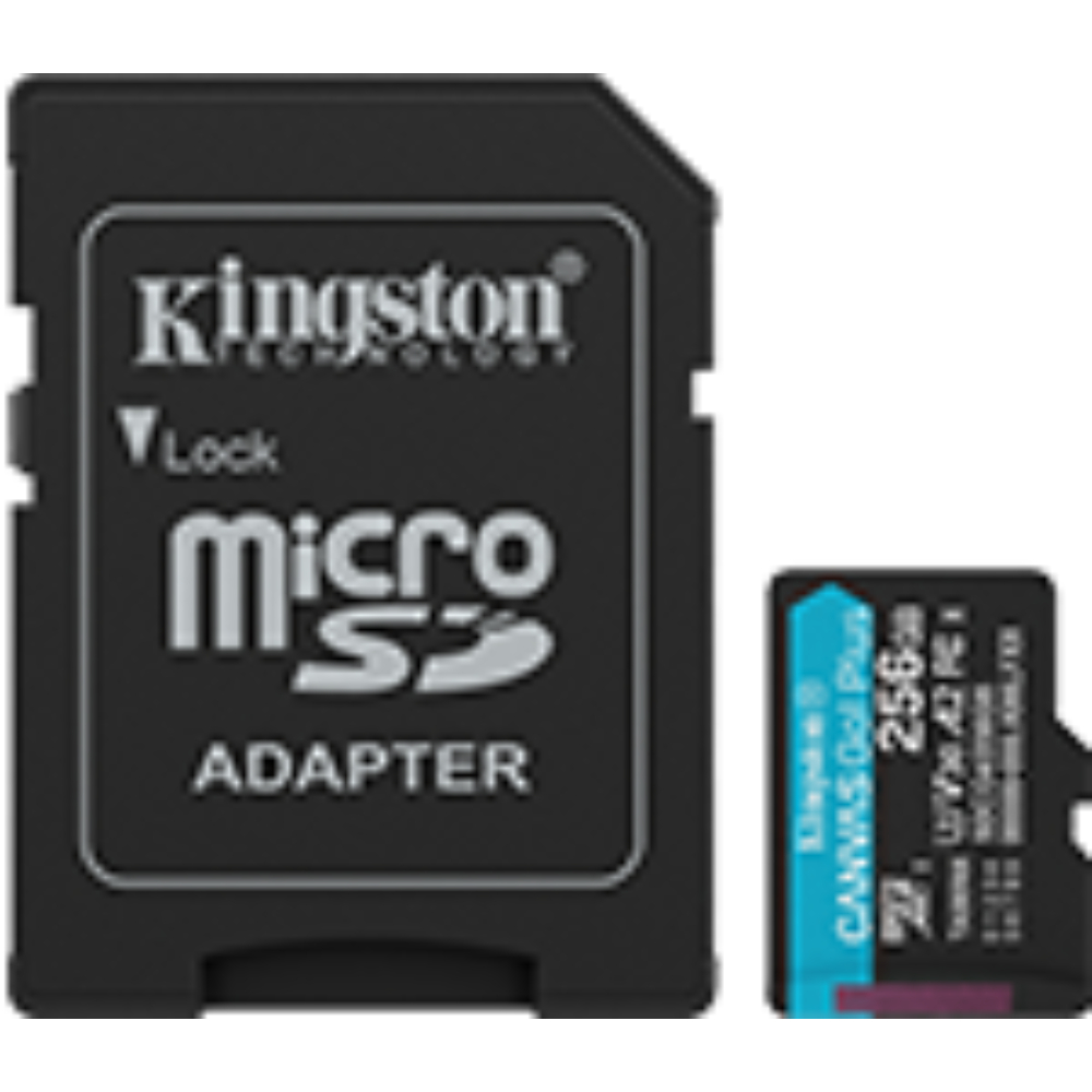 [SDCG4/256GB] Kingston Tarjeta De Memoria Micro SD Canvas Go Plus 256GB Rápida