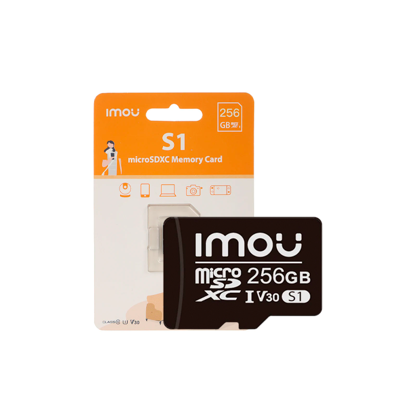 [ST2-256-S1] Micro SD 256 GB Class 10