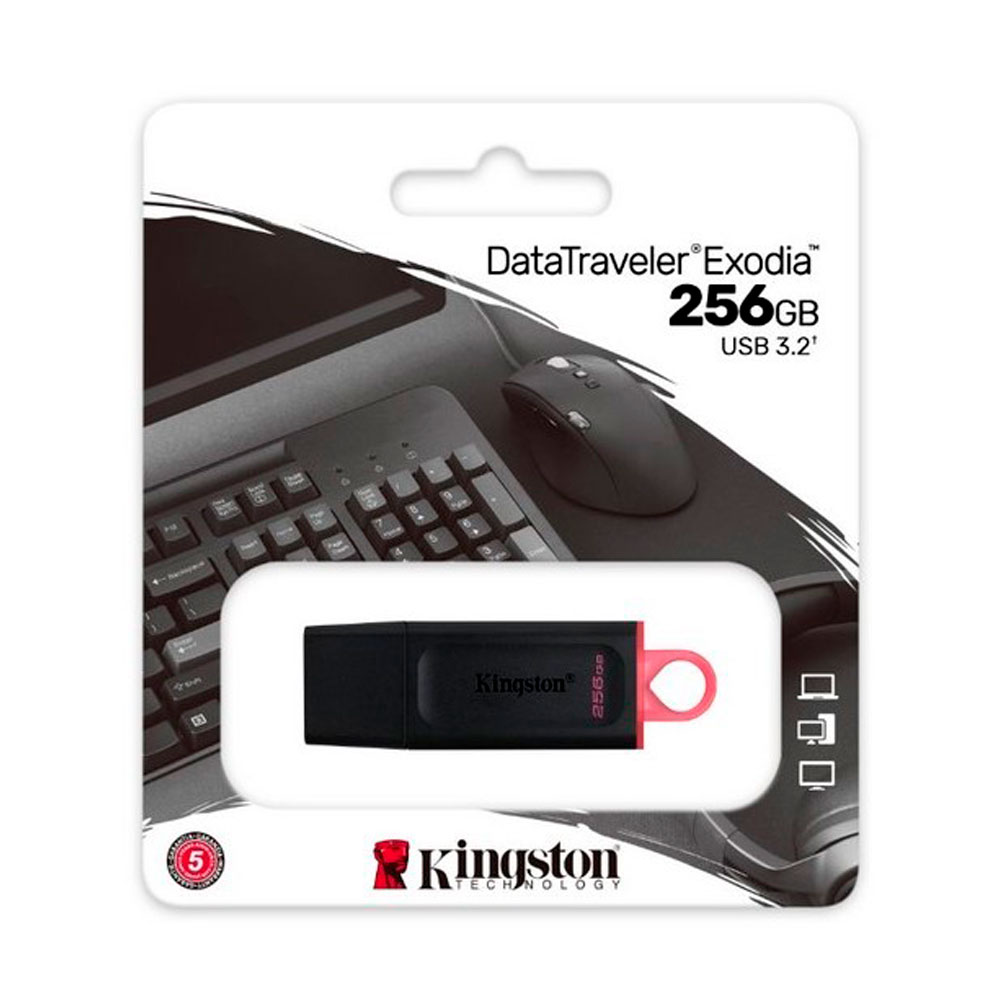 Kingston Memoria USB 256GB 3.2 Gen 1 Rosa y Negra