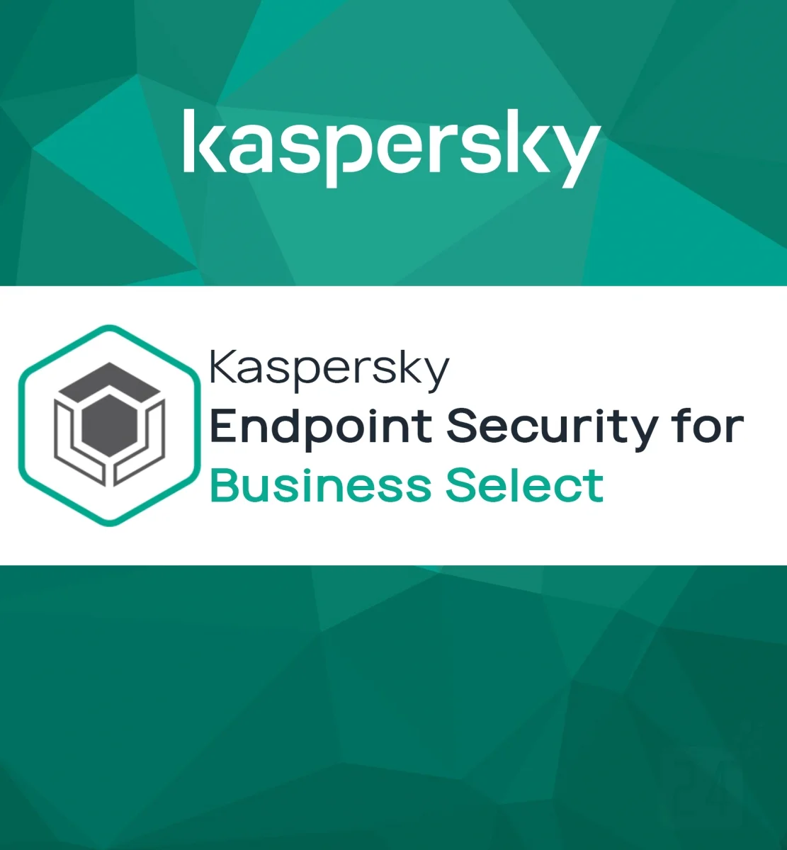 [SS004KPK58] Kaspersky Software Kaspersky Endpoint Security for Business Protección Avanzada
